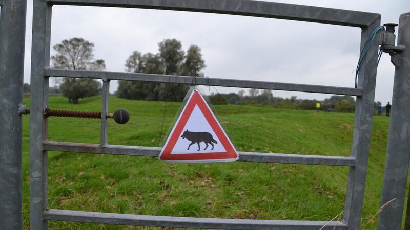 Warnung vor dem Wolf: In Großenwörden fand sich die Initiative „Wir vom Deich“ zusammen, um auf die Sorgen der Anwohner und Tierhalter aufmerksam zu machen.