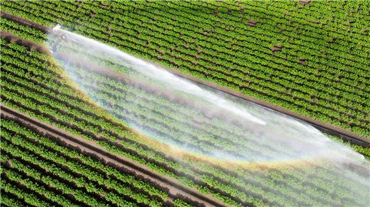 Wasser kann Luxus sein - wenn es knapp ist und für die Landwirtschaft gebraucht wird. (Illustration)