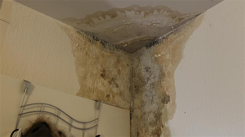 „Unbewohnbar“: Stade sperrt Horror-Hochhaus im Altländer Viertel Wasser- und Schimmelschäden in einer der Wohnungen.