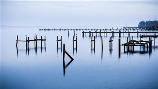 Wasserlandschaft: Pfähle einer abgebauten Steganlage ragen aus dem Steinhuder Meer.