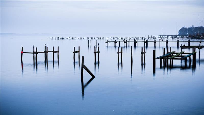 Wasserlandschaft: Pfähle einer abgebauten Steganlage ragen aus dem Steinhuder Meer.