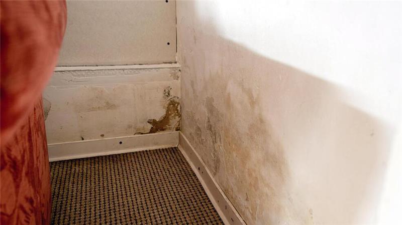 Wasserschäden und Schimmelbildung im Wohnzimmer.