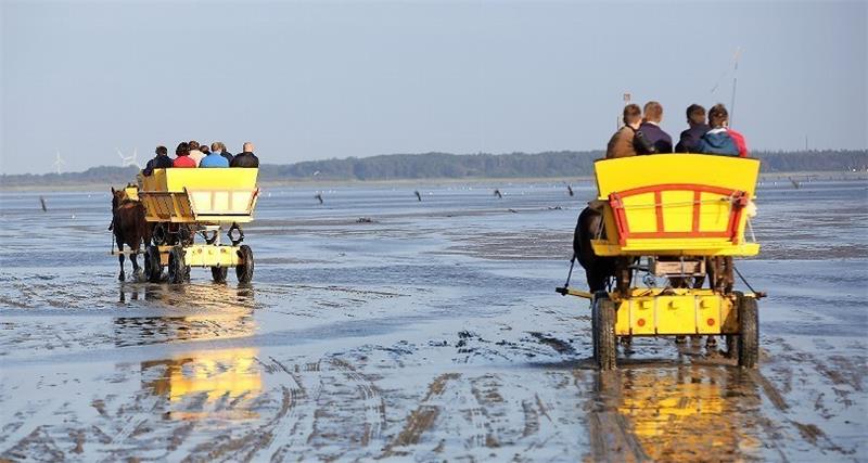 Prozess um Unfall mit Wattwagen auf Neuwerk Wattwagen sind zwischen der Nordseeinsel Neuwerk und dem Cuxhavener Kurteil Sahlenburg unterwegs. Foto Marks/dpa