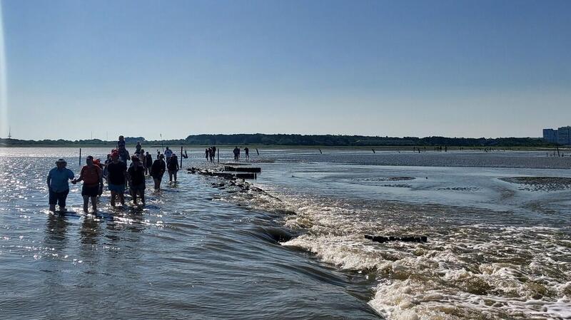 Wattwandern ist bei Cuxhavenern und Touristen beliebt. Doch viele unterschätzen die Gefahr, die auch an so schönen Tagen im Watt lauert.