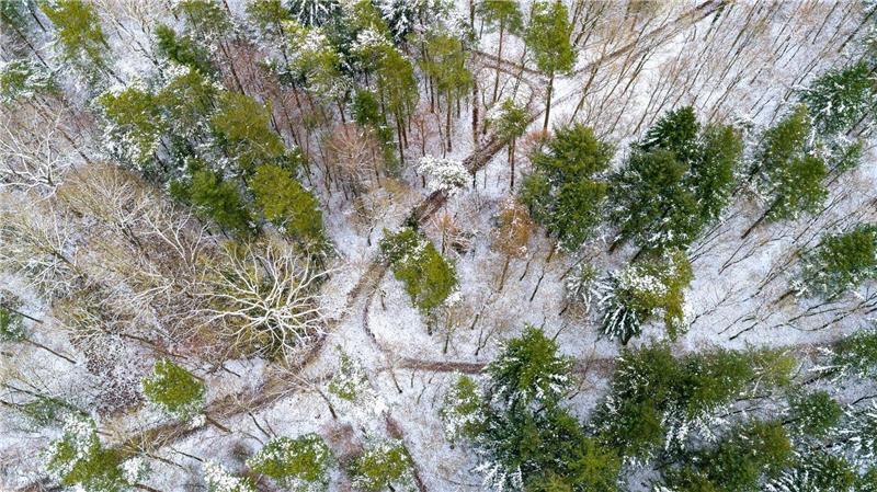 Wegen der Unwetterwarnungen kommt es zu Einschränkungen und Schließungen in Niedersachsen, wie etwa beim Wildpark Schwarze Berge im Landkreis Harburg. (Symbolfoto)