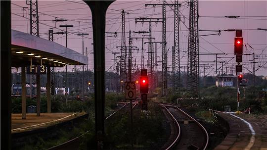 Wegen der ausgebüxten Kühe war der Bahnverkehr um Neumünster eingeschränkt. (Symbolbild)