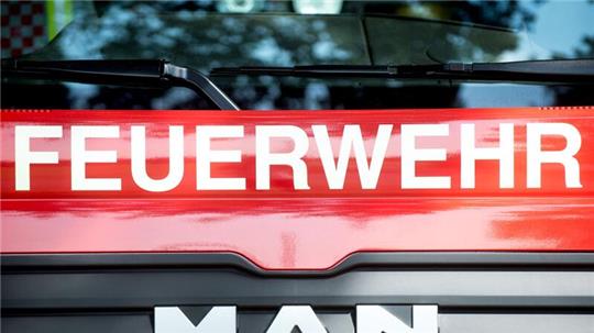 Wegen der hohen Temperaturen versorgten die Einsatzkräfte die Tiere während der mehrere Stunden dauernden Bergungsaktion durch Hochleistungslüfter mit Frischluft.