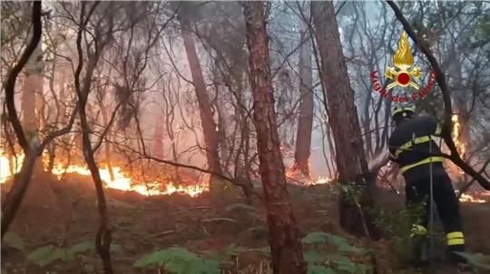 Wegen des Waldbrands haben mehr als 3.500 Menschen ihre Häuser verlassen müssen.