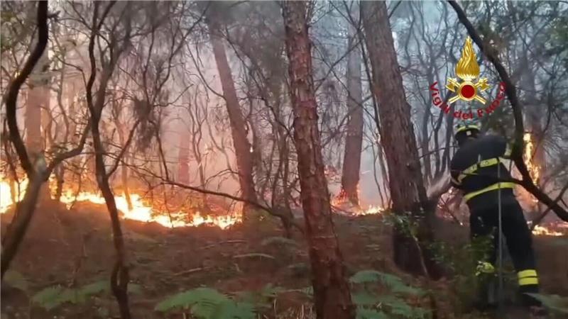 Wegen des Waldbrands mussten mehr als 3.500 Menschen ihre Häuser verlassen.