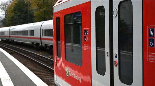Wegen eines umgestürzten Baumes kommt der S-Bahn Verkehr aktuell zum Erliegen.