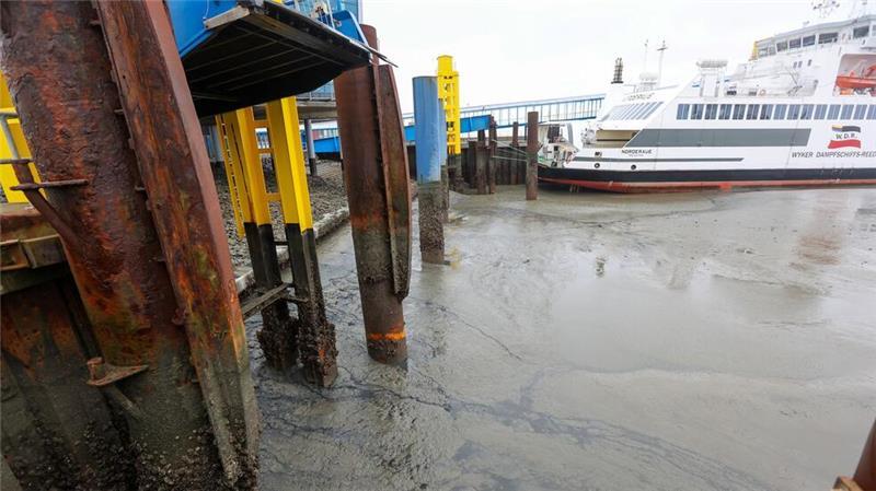 Wegen niedriger Wasserstände infolge kräftigen Ostwindes fallen Fähren von und zu mehreren Nordseeinseln aus. (Archivbild)