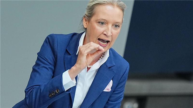 Merz ruft zur Mitwirkung am Reformprozess auf Weidel rechnet mit der Regierung generell ab.