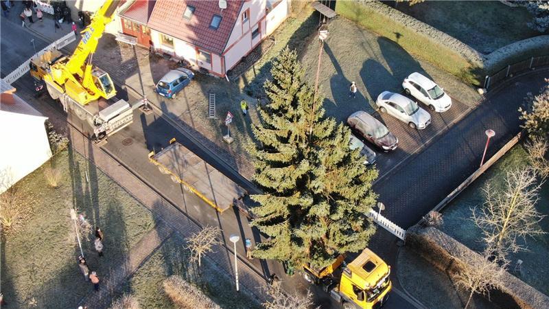 Weihnachtsbaum fürs Brandenburger Tor: Fichte per Kran auf LKW verladen in Sömmerda