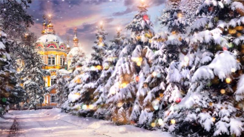 Weiße Weihnachten oder freie Fahrwege im Kreis Stade? Ein verschneiter Weg führt zu einem gelben Gebäude. Am Wegesrand stehen beschmückte Tannen.