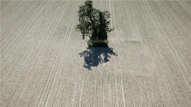 EU-Kommission ruft zum Wassersparen in Europa auf Weite Teile Europas leiden seit Jahren unter zunehmender Wasserknappheit. (Archivbild)