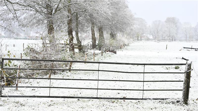 Weiteren Schnee sagt der Deutsche Wetterdienst frühestens am Sonntag vorher.