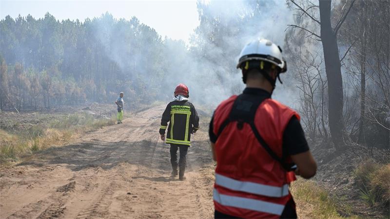 Feuer flammen immer wieder auf – „Wir kämpfen Baum um Baum“ Weiterhin seien 2.750 Feuerwehrleute, 23 Löschflugzeuge und über 1.400 Polizeikräfte im Einsatz, sagte die Präfektin.