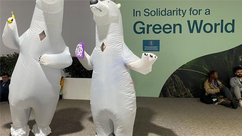 Weltklimakonferenz COP29 in Baku. Umweltaktivisten, verkleidet als Eisbären, machen bei einer Protestaktion auf der Weltklimakonferenz COP29 auf die Folgen der Erderhitzung aufmerksam. 