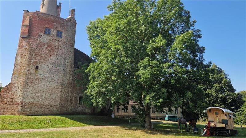 Moderne „Landstreicherin“: Minimalistisches Leben in der Kutsche Wencke Bellmann findet auf ihrer Tour spannende Rastplätze.