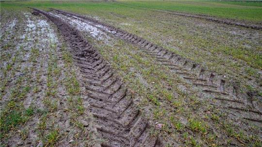 Weniger Brachflächen: Die EU-Kommission will eine Umweltauflage für europäische Bauern lockern.