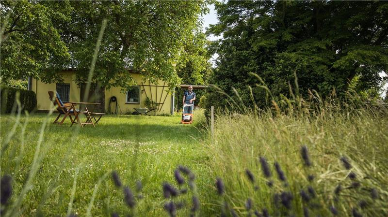 Weniger Rasenmähen im Sommer fördert die Bodengesundheit.