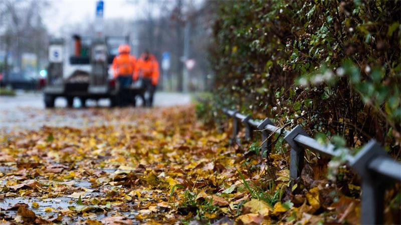 Kürzere Tage, kältere Luft: Wie der Herbst im Körper wirkt Weniger Tageslicht kann müde machen, helles Kunstlicht dagegen am Abend den Schlaf hinauszögern. (Symbolbild)