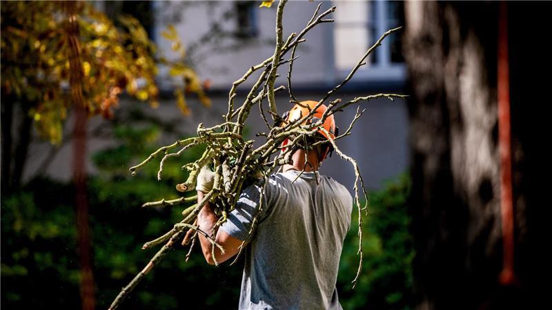 Wenn Sie Unterstützung im Garten benötigen, sollten Sie immer Anbieter prüfen und Preise vergleichen, rät die Polizei Stade. (Symbolbild)