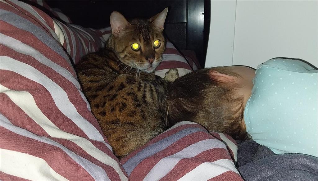 "Wenn der Kater der Babysitter ist", kommentiert Marie Höft das Bild.