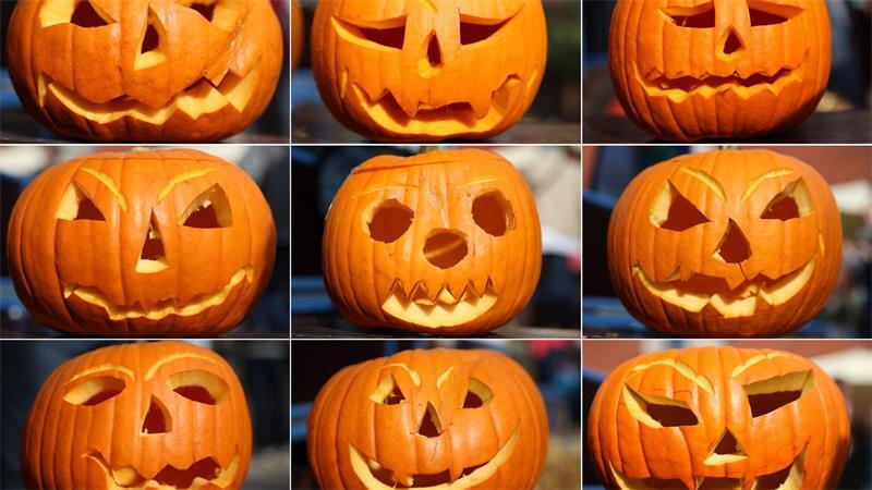 Wenn diese Fratzen auftauchen, ist sicher Herbst.