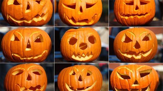 Wenn diese Fratzen auftauchen, ist sicher Herbst.