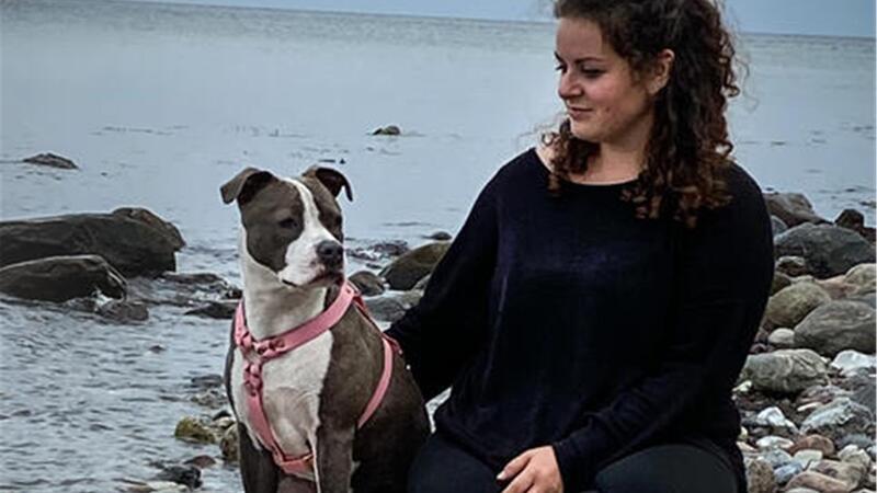 Explodierende Hundesteuer: Ein Promi setzt sich zur Wehr „Wenn ein Labrador bellt, ist das nicht schlimm, wenn ein Staffordshire bellt schon.“ Katharina Korff fürchtet noch mehr Vorverurteilung ihrer Hündin Tara.