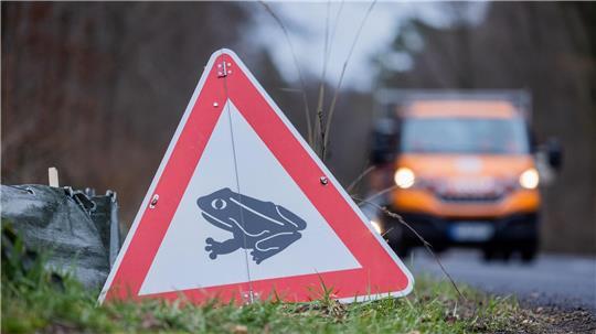 Wenn es im Frühjahr wärmer wird, machen sich etwa Frösche auf zu ihren Laichgewässern. (Archivbild/Illustration)