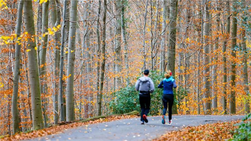 Wochenende wird vielerorts sonnig - Nachtfrost im Osten Wenn sich der Nebel lichtet, wird es in vielen Teilen Deutschlands sonnig.