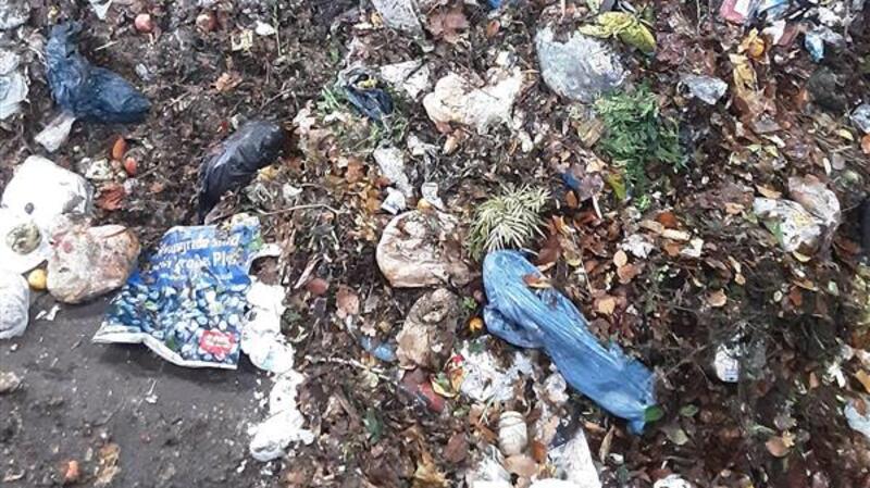 Plastiktüten, Zigarettenkippen und Windeln – das alles gehört nicht in den Biomüll
