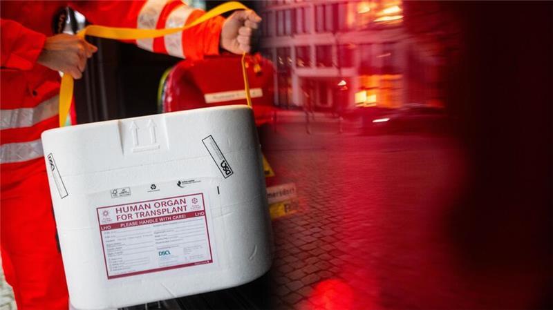 Wer ein menschliches Organ erhält, dessen Überlebenswahrscheinlichkeit liegt bei 10, 15 oder gar 20 Jahren. (Illustration)