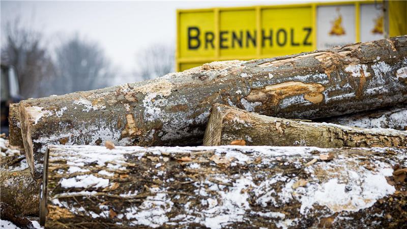 Wer im Winter Brennholz bestellt, sollte sich auf längere Lieferzeiten einstellen.