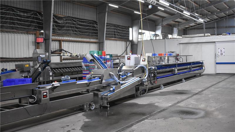 Wert eines halben Einfamilienhauses: So sieht die neue Sortiermaschine bei Werner aus, bei der die Roboter Menschen viel anstrengende Handarbeit abnehmen.