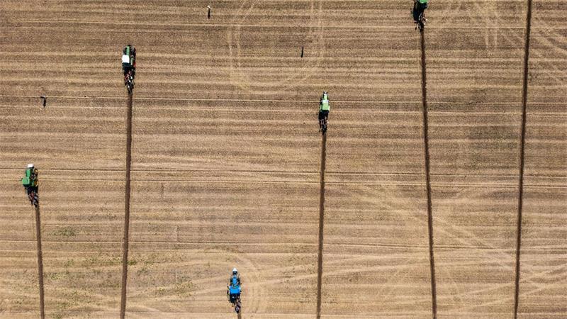 Wettpflügen im schweizerischen Hallau: Die Teilnehmer der Pflüger-EM ziehen ihre Furchen ins Feld.