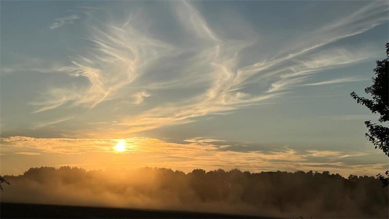 „Wie Phoenix aus der Asche“ nennt Anneli Hauschild ihre Aufnahme aus der Deinster Feldmark.