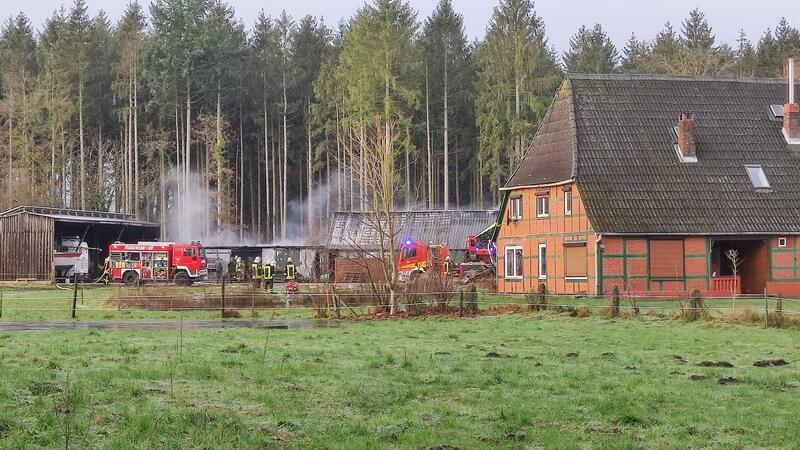 Feuer zerstört Lagerhalle – 80.000 Euro Schaden Wie es zu dem Brand kam, ist noch unklar.