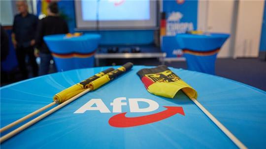Wie geht es weiter für die AfD im EU-Parlament? Die ID-Fraktion trennte sich kurz vor der Europawahl von der Partei.