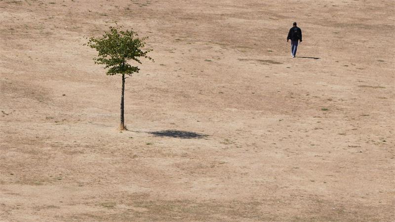 Wie in der Wüste: Ein Mann geht auf den vertrockneten Resten eines Rasens in einem Park in London.