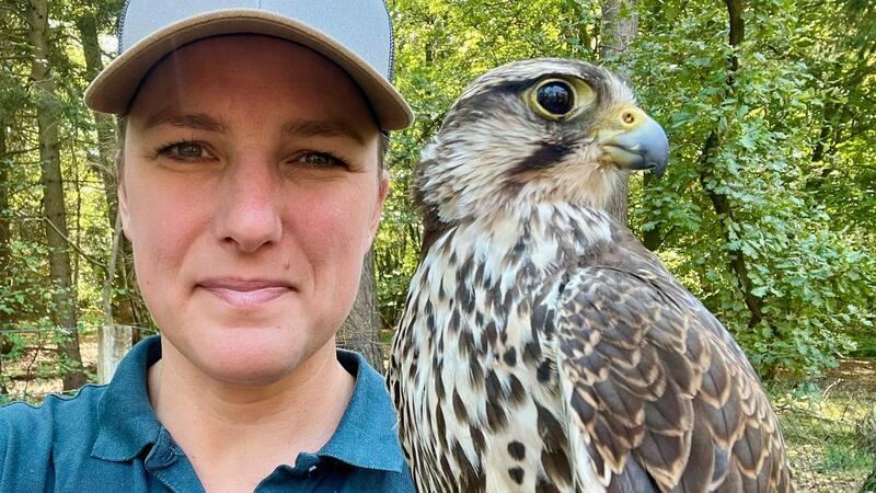 Wieder vereint: Falknerin Rieke Wiecker und Lannerfalke Hope.