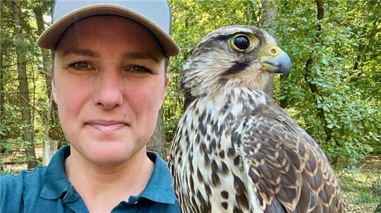 Wieder vereint: Falknerin Rieke Wiecker und Lannerfalke Hope.