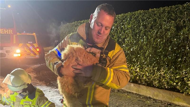 Wiepenkathens Ortsbrandmeister Jörg Bastian mit der geretteten Katze.