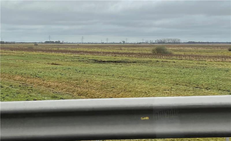 Weg vom Bullenbruch nach Ladekop - Naturschutz macht es möglich Wiesenbrüterparadies: Blick von der Kreisstraße auf den von Gehölzen befreiten Bullenbruch.