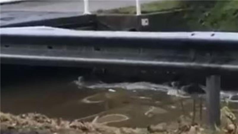 Videobeweis: Wildschweine wandern und schwimmen durch Jork-Borstel Wildschweine schwimmen auf dem Video eines Mitglieds der Kleinen Jorker Bühne durch die Hauptwettern.