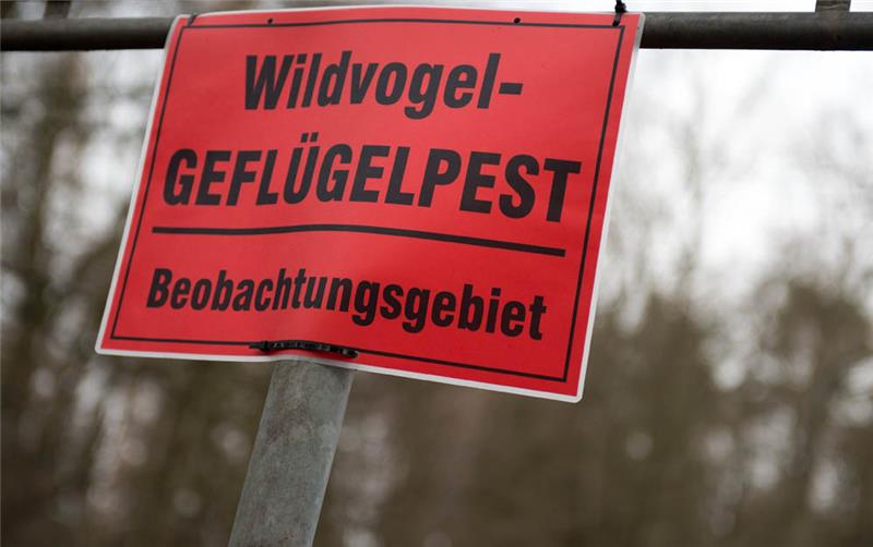 Geflügelpest: Tote infizierte Wildgans am Drochterser Elbstrand gefunden "Wildvogel Geflügelpest - Beobachtungsgebiet" ist auf einem Schild zu lesen. Foto: Arno Burgi/dpa-Zentralbild/dpa