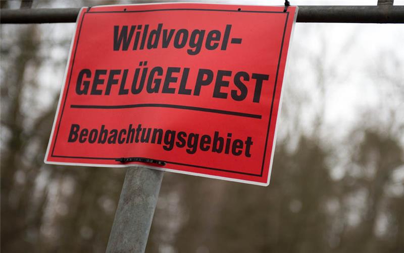 "Wildvogel Geflügelpest - Beobachtungsgebiet" ist auf einem Schild zu lesen. Foto: Arno Burgi/dpa-Zentralbild/dpa