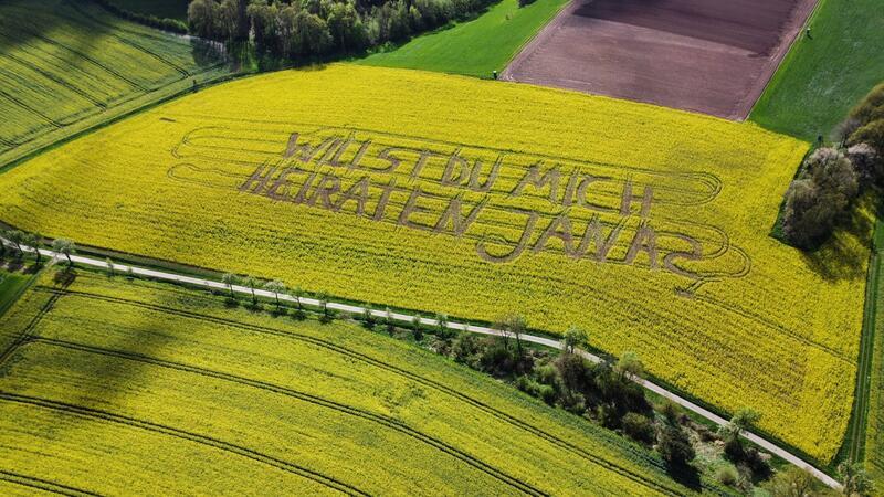 Landwirt überrascht mit Heiratsantrag im Feld „Willst Du mich heiraten, Jana?“, steht in einem Rettichfeld bei Rauschenberg im Landkreis Marburg-Biedenkopf.